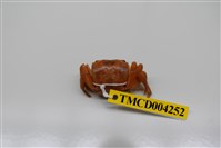 藏品(奧氏後相手蟹)的圖片